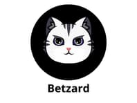 Betzard Casino 