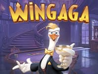 Wingaga 